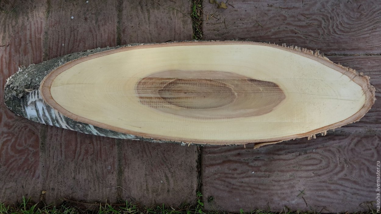 Спил березы