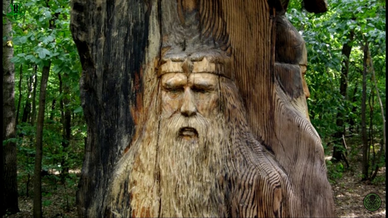 Стелмужский дуб в Литве