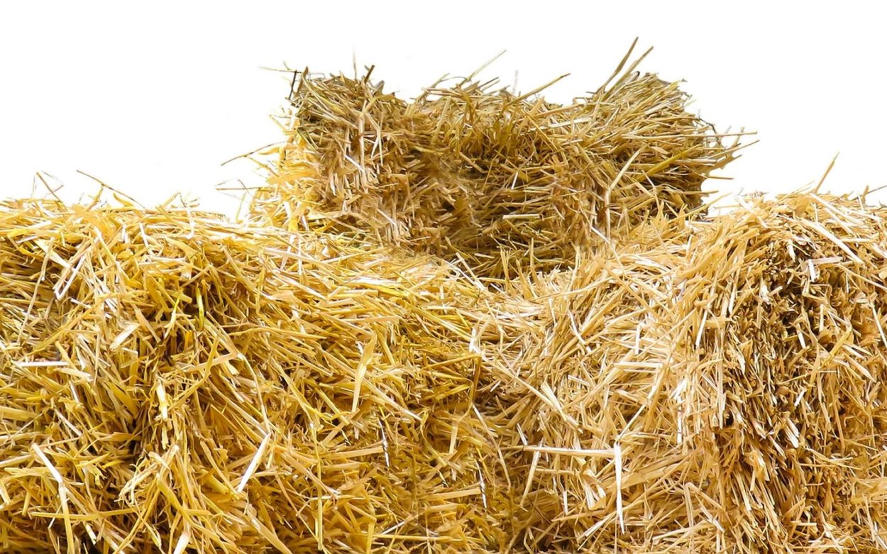 Сено на белом фоне