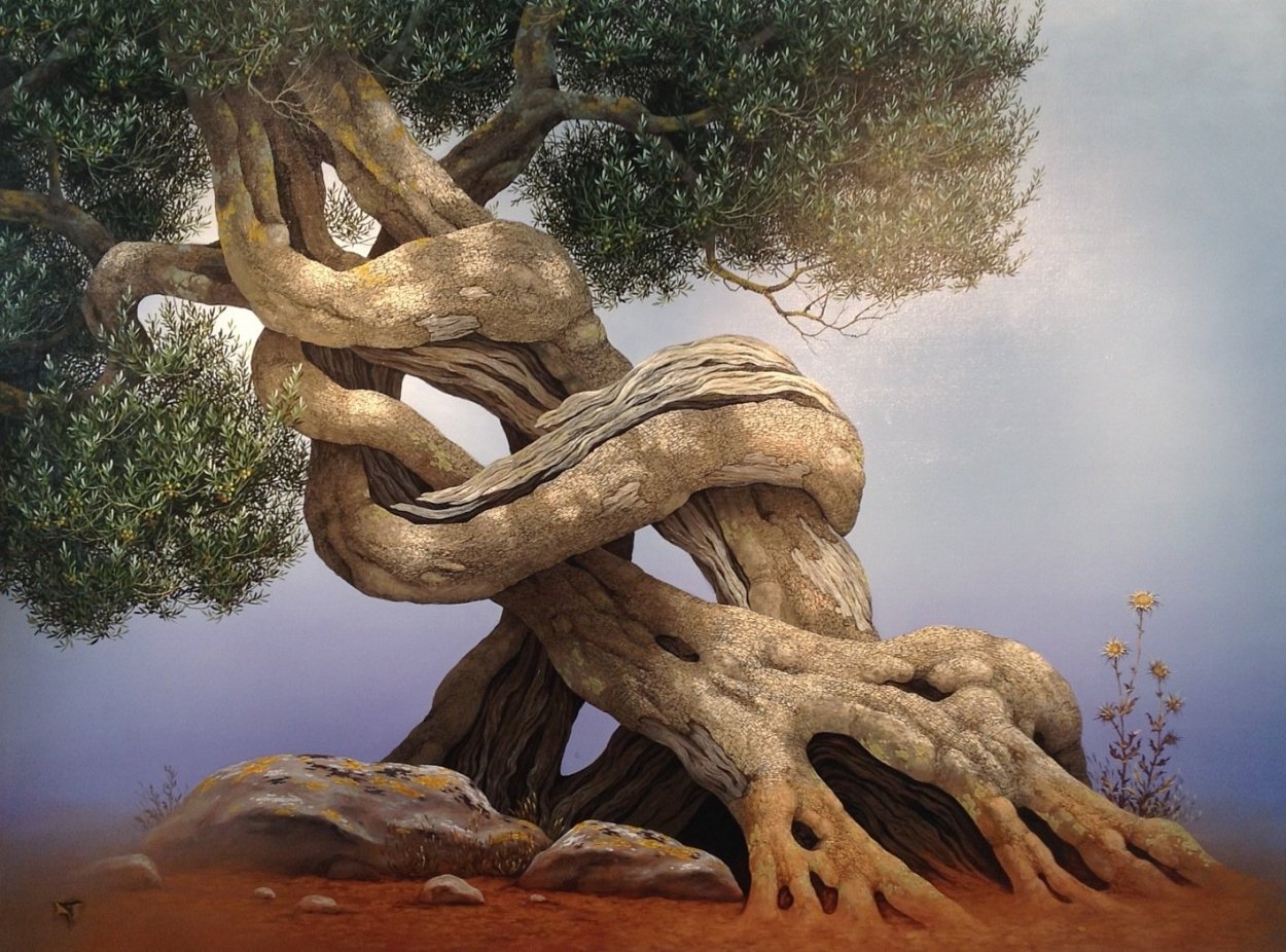 Дерево над водой