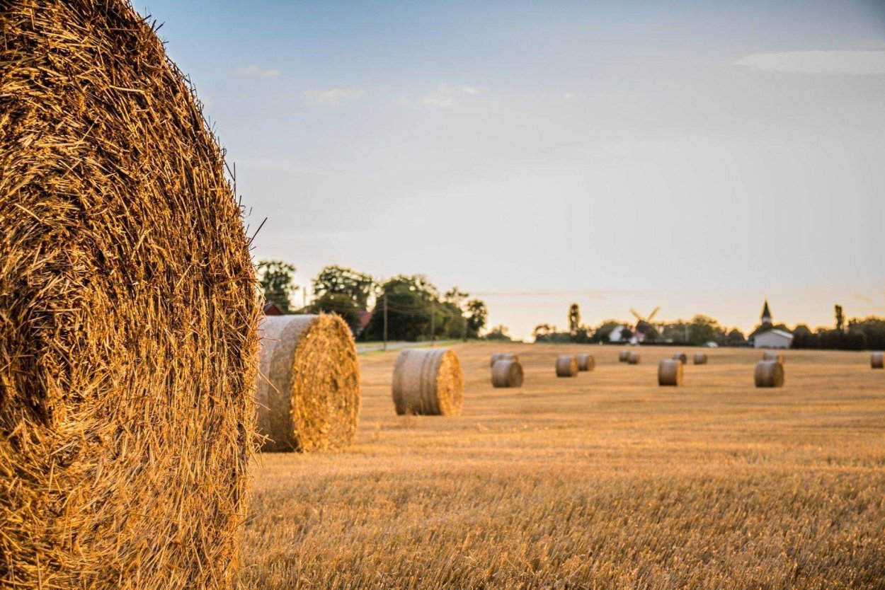 Солома от сена