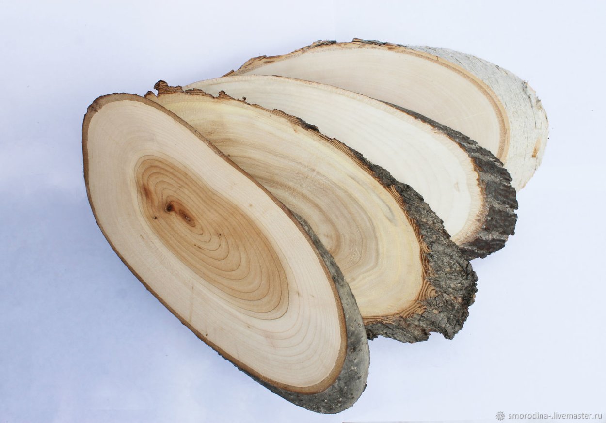 Липа древесина спил