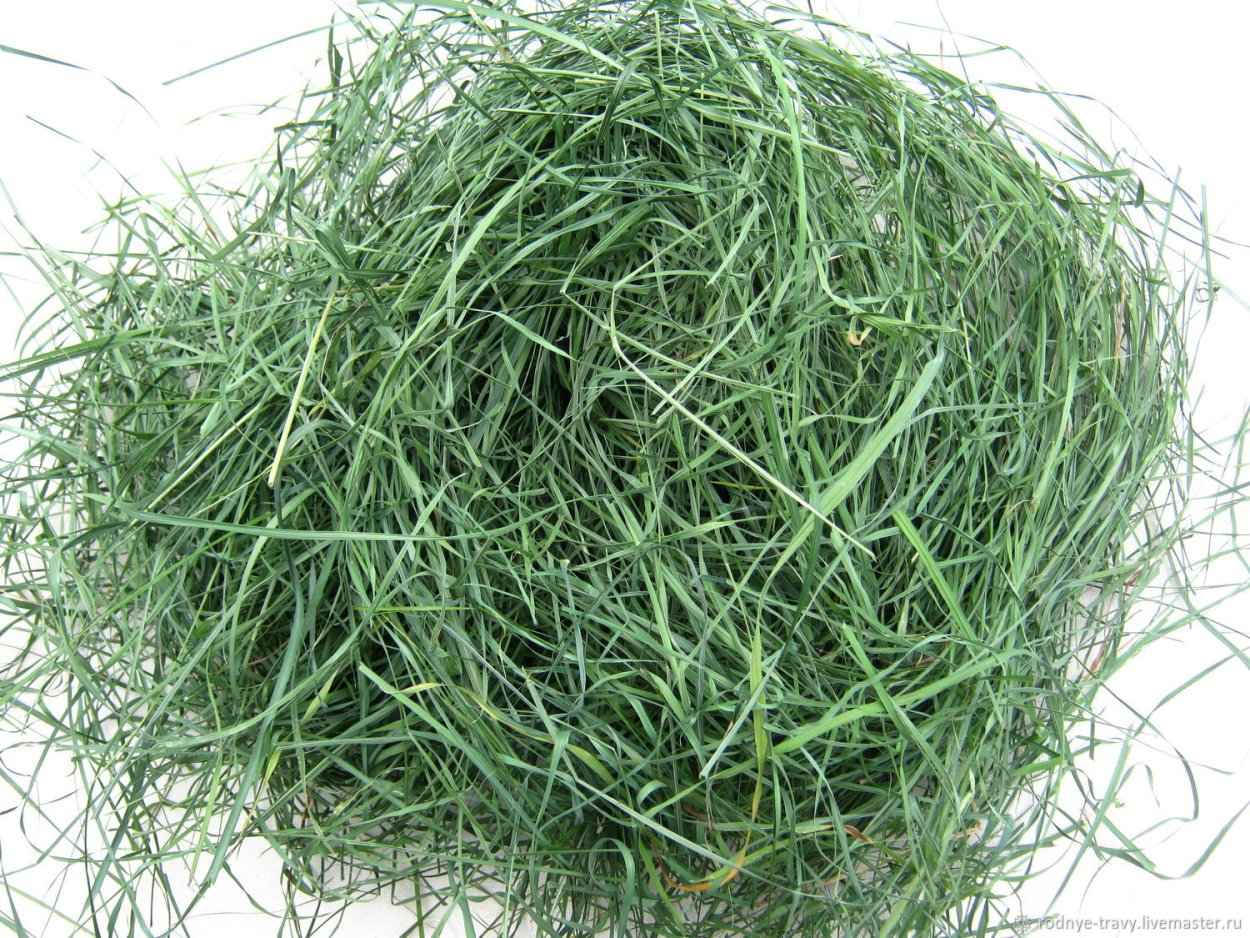 Сено зеленое