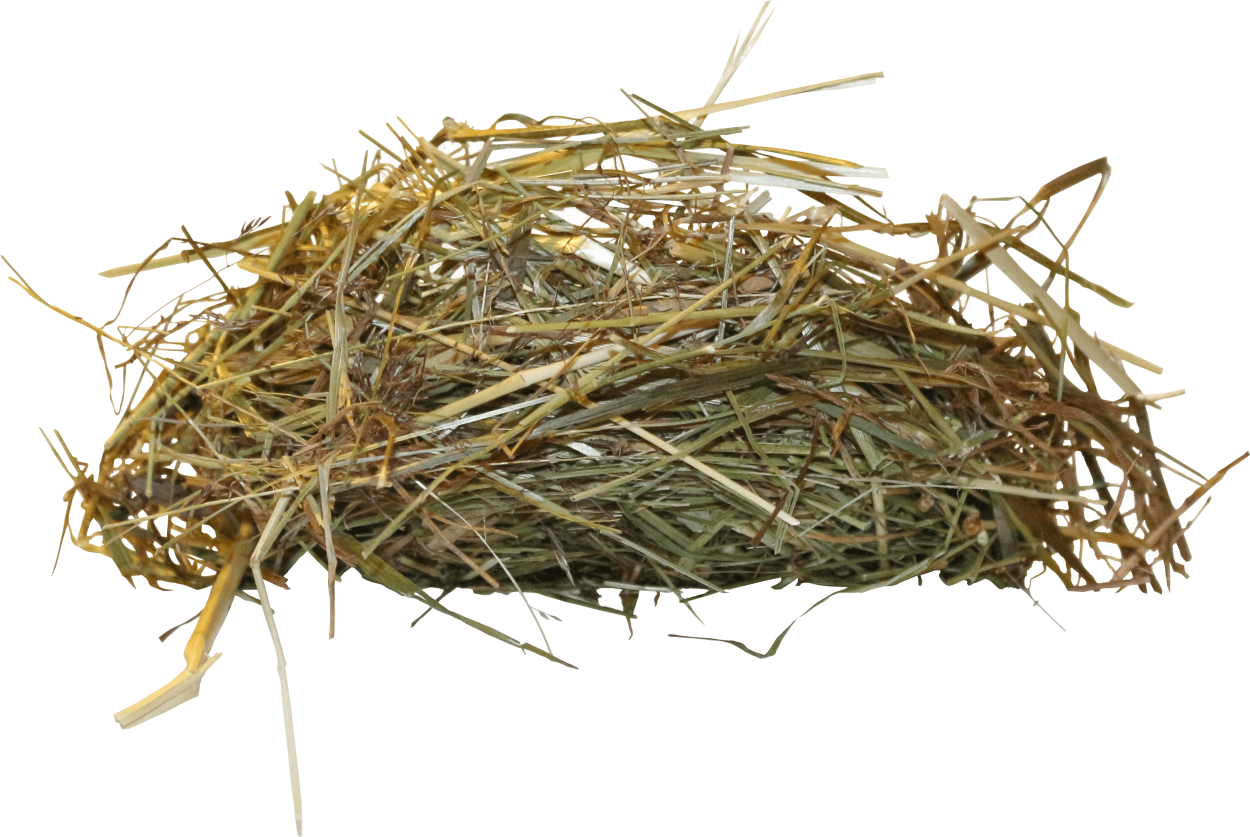 Солома на белом фоне