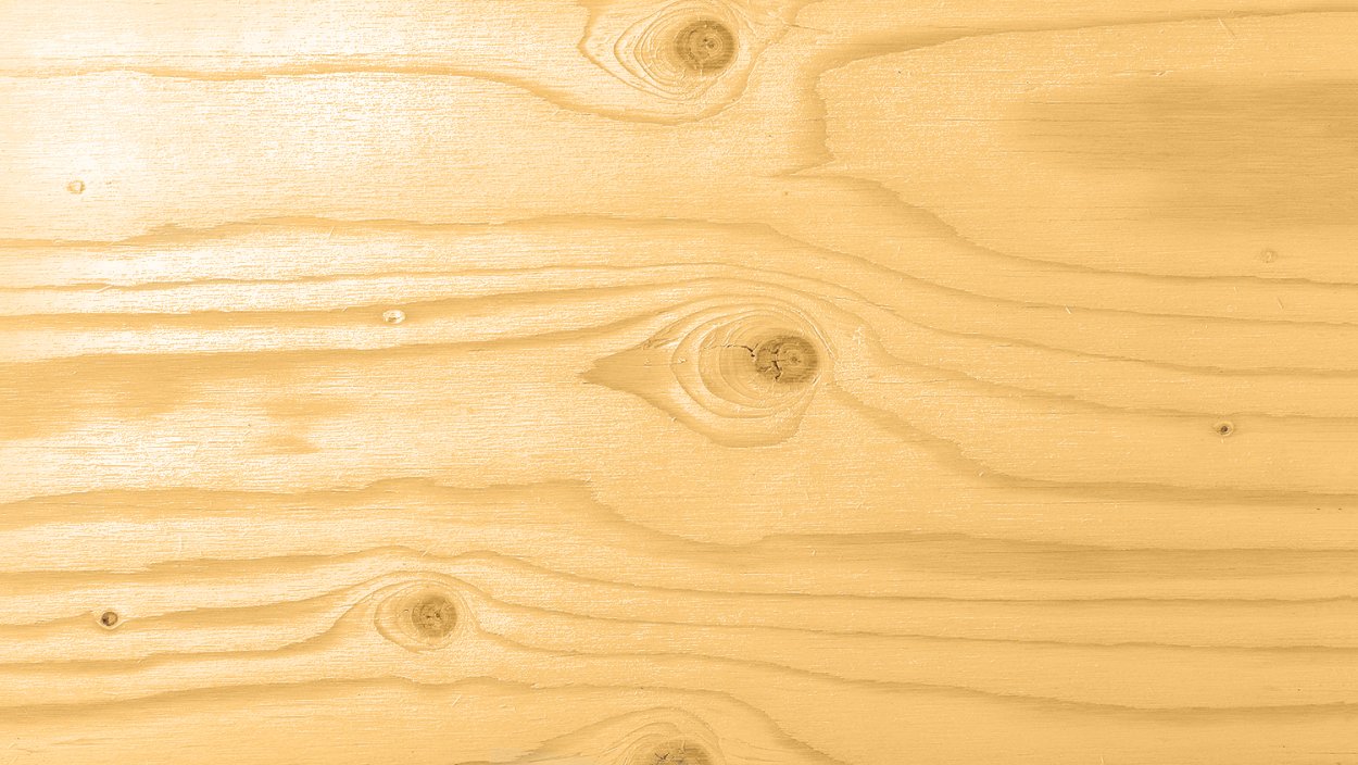 Фактура дерева сосна