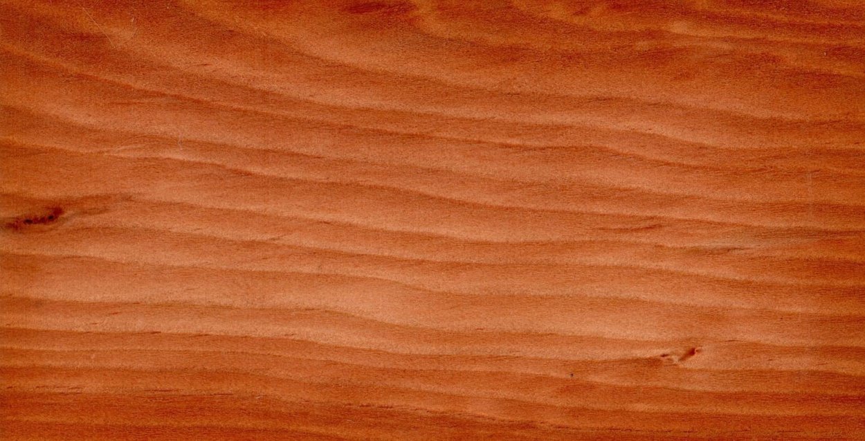 Порода древесины лиственница