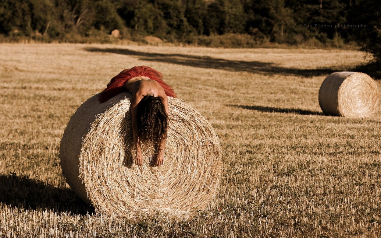 Стога с сеном