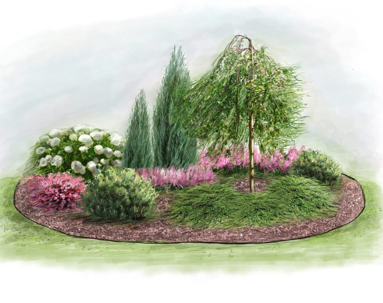 Пинарий хвойники