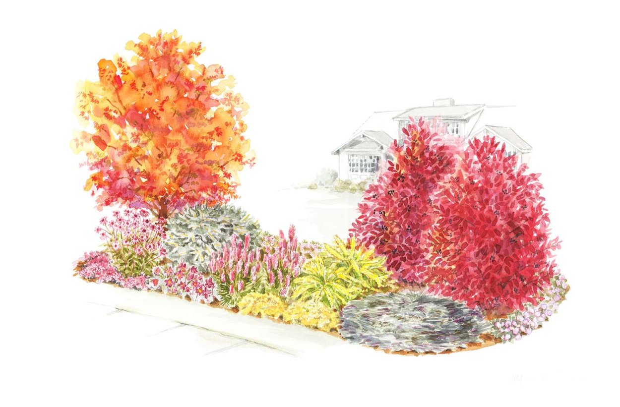 Спирея геопластика