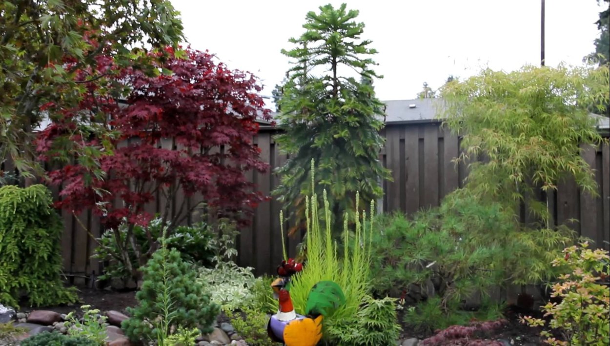 Парадный миксбордер