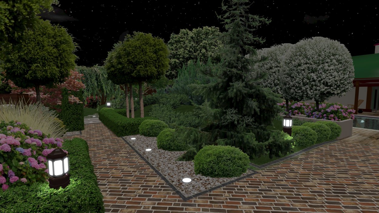 Туя гортензия Барбарис