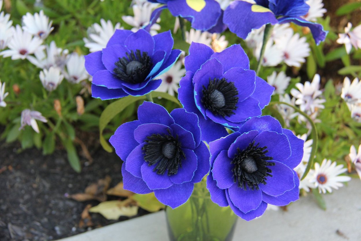 Белый цветок с фиолетовой серединкой