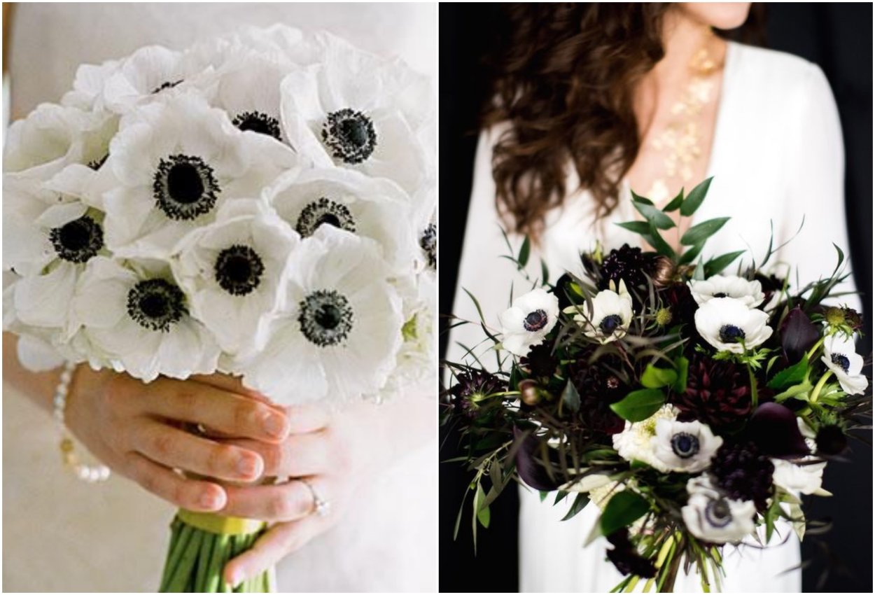 Анемоны белые с черным