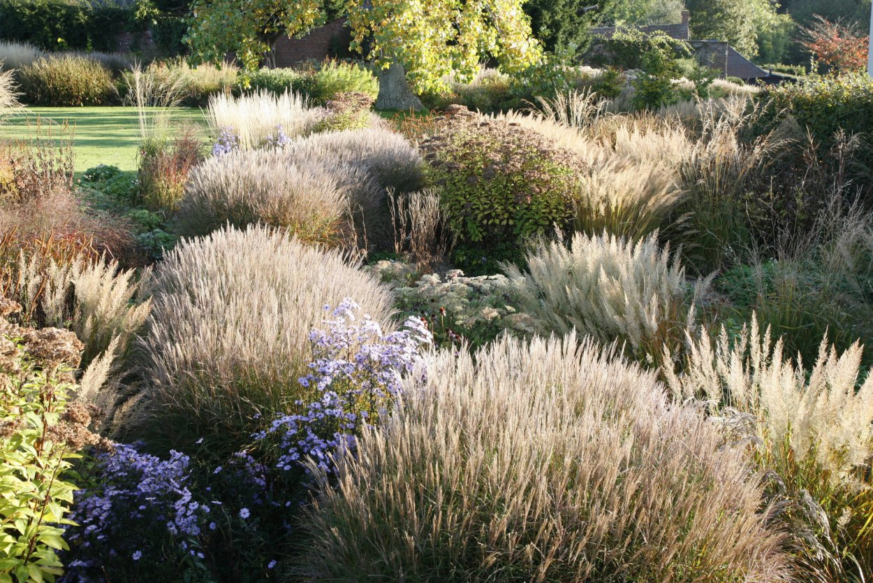 Цветники Удольфа Хоста