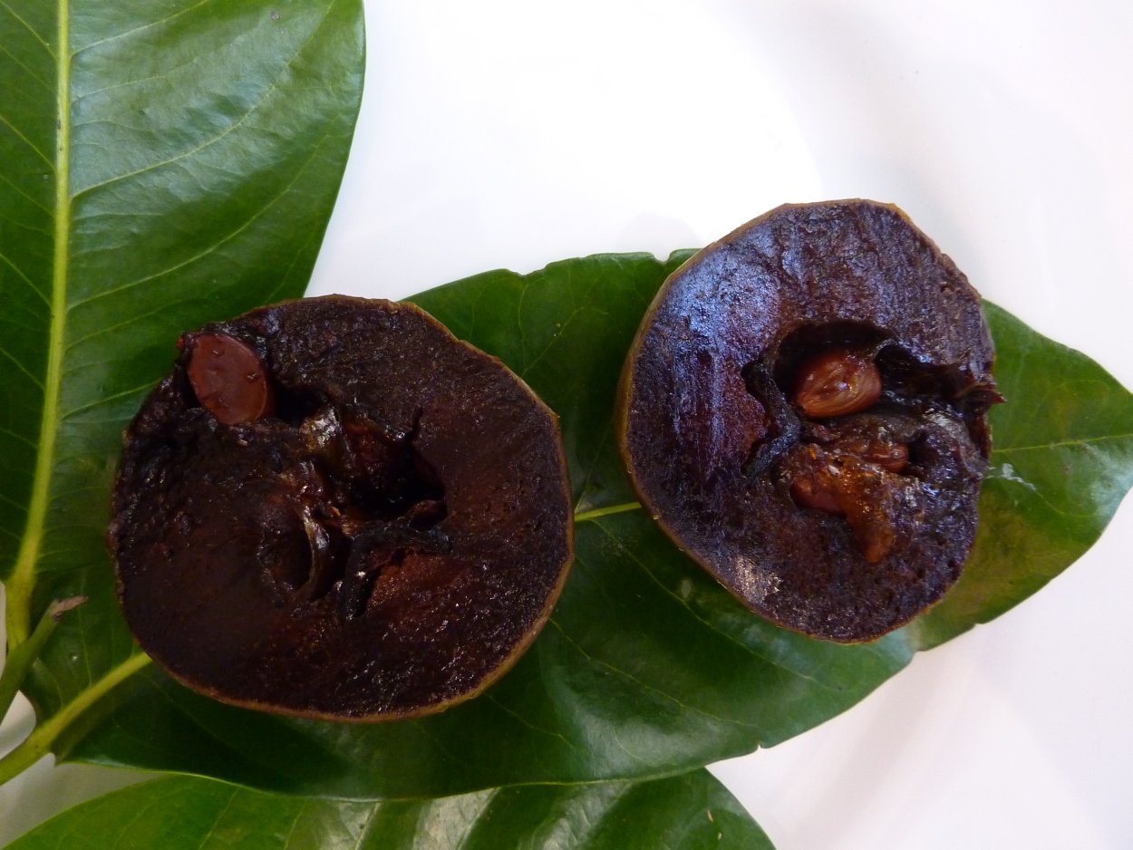 Хурма дерево Абхазия