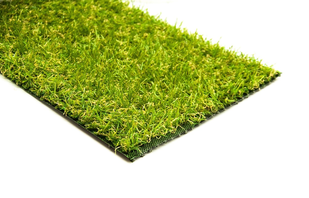 Condor grass Apollo 3011