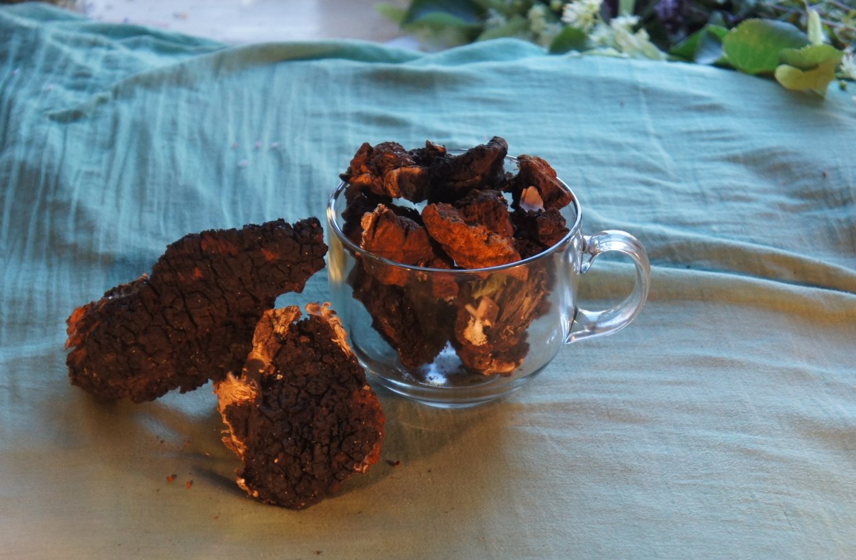 Чага Березовая порошок