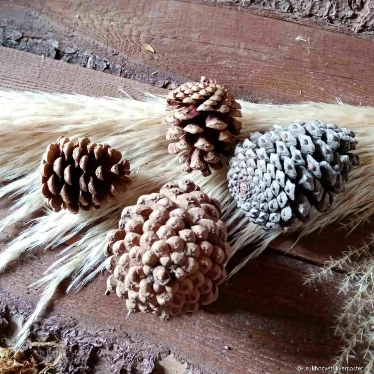 Ягода похожая на шишку