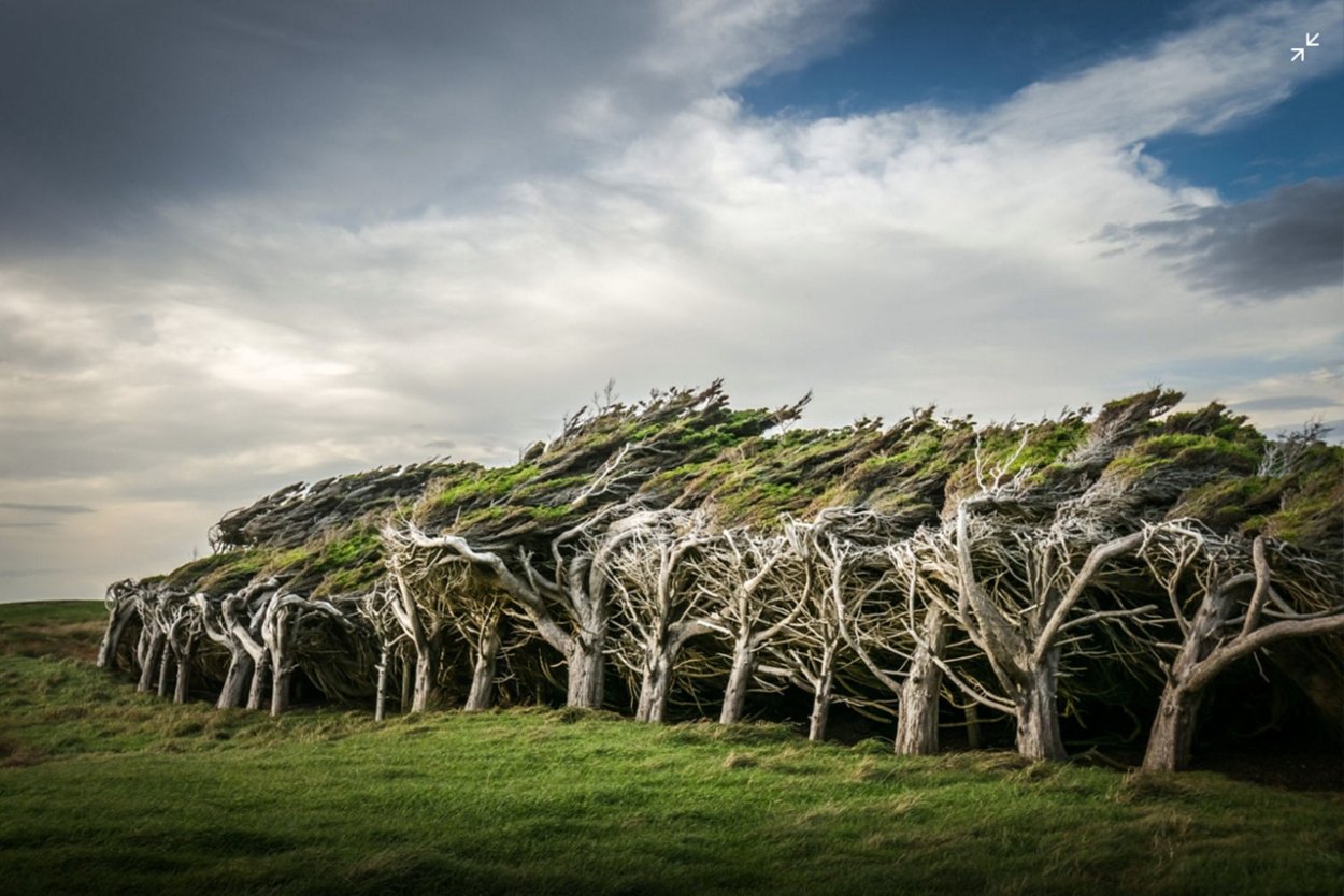 Мыс slope point, новая Зеландия