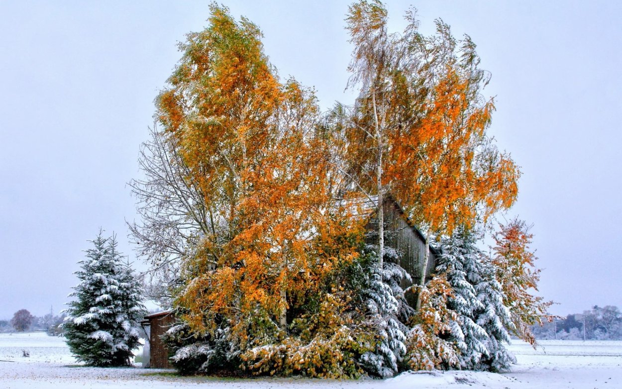 Осень переходящая в зиму