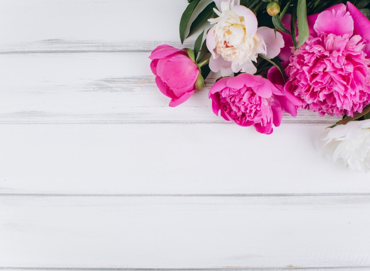 Нежные пионы