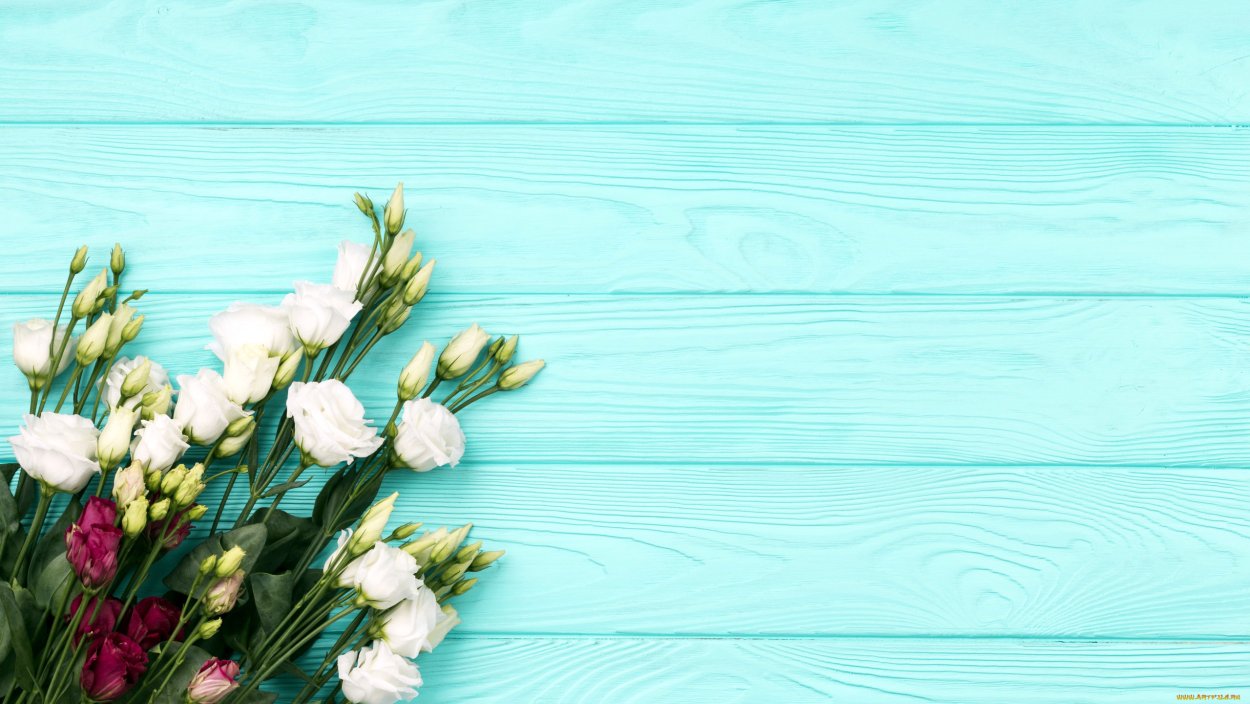 Цветы на нежно голубом фоне