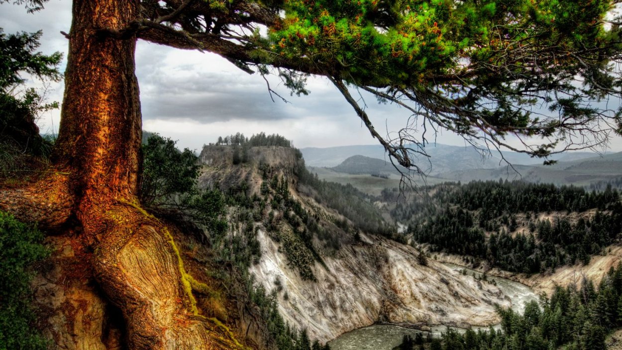 Ставрополье широкая Долина реки горы сосны