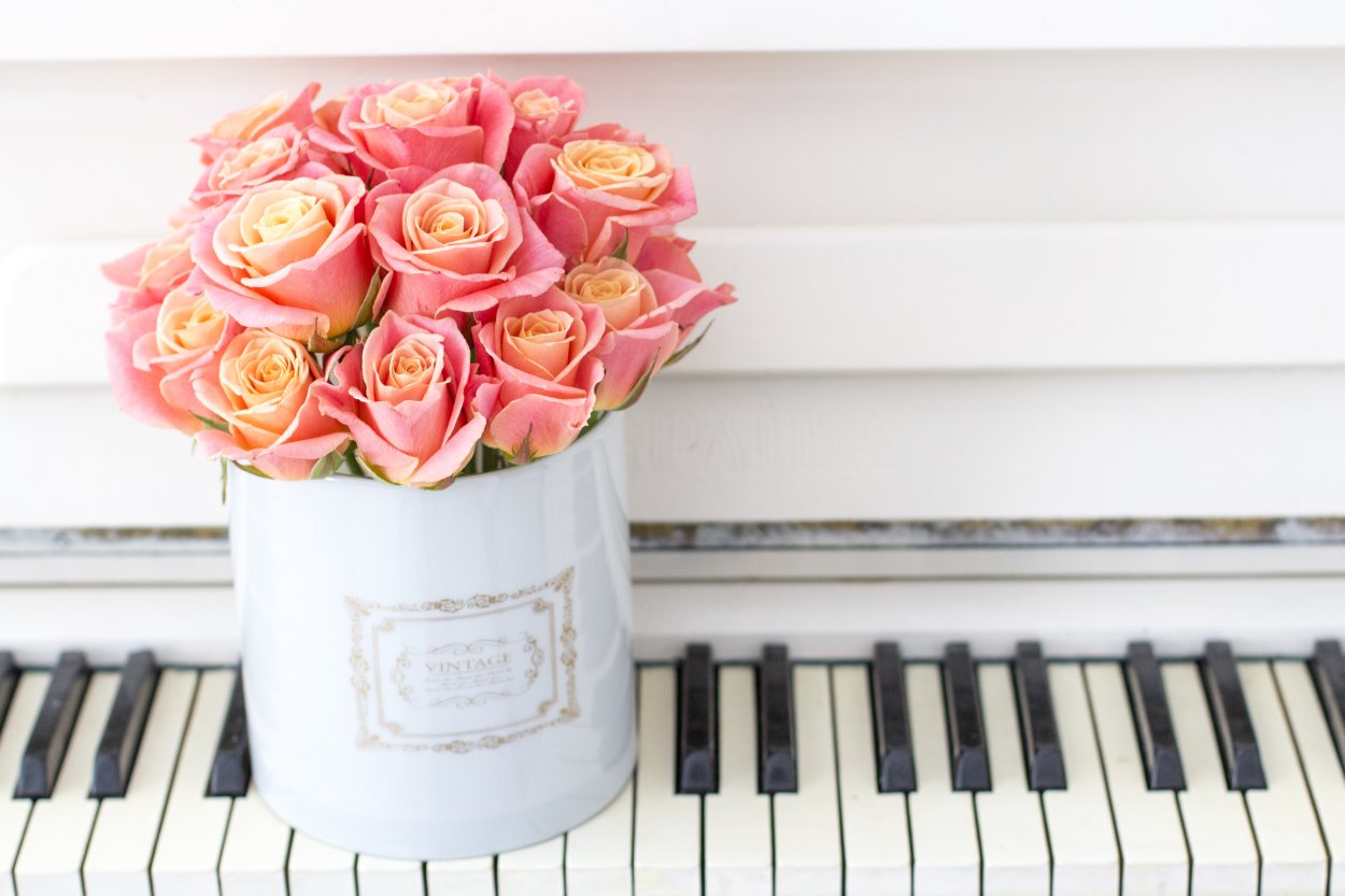 Роза Хэппи пиано