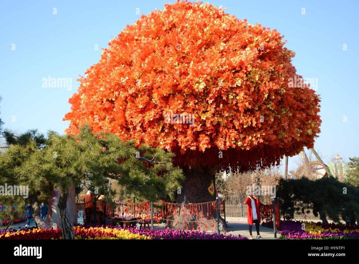 Искусственное дерево клен