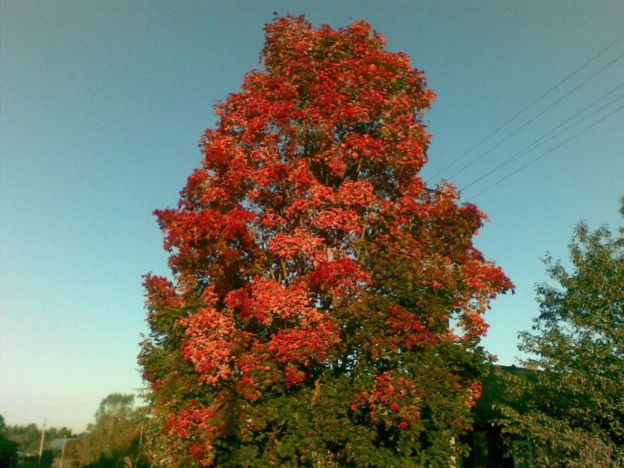 Киото Китай