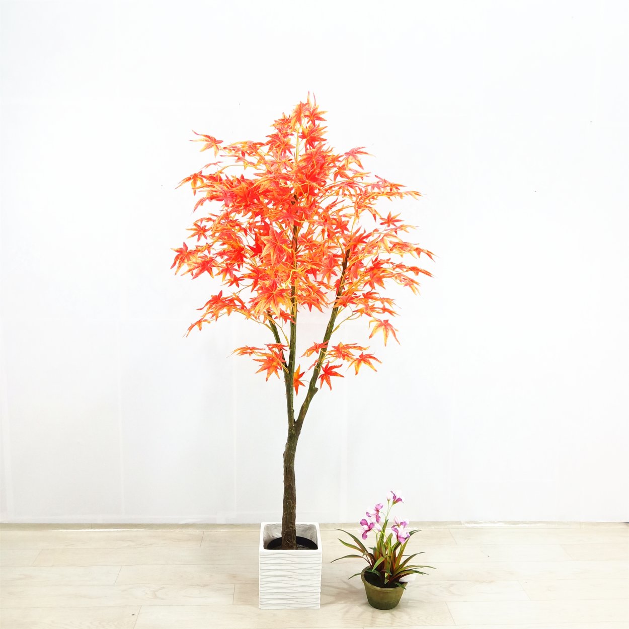 Деревья осенью