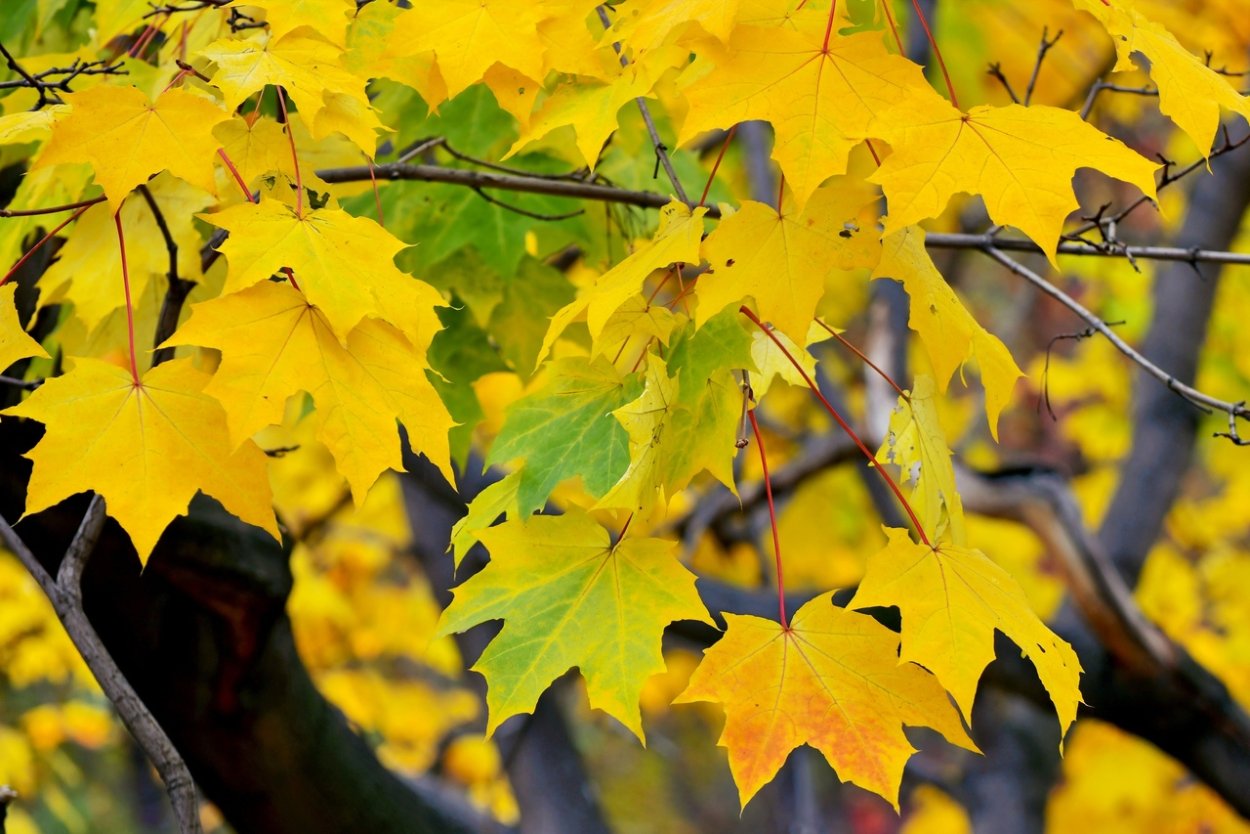 Человек на берегу озера