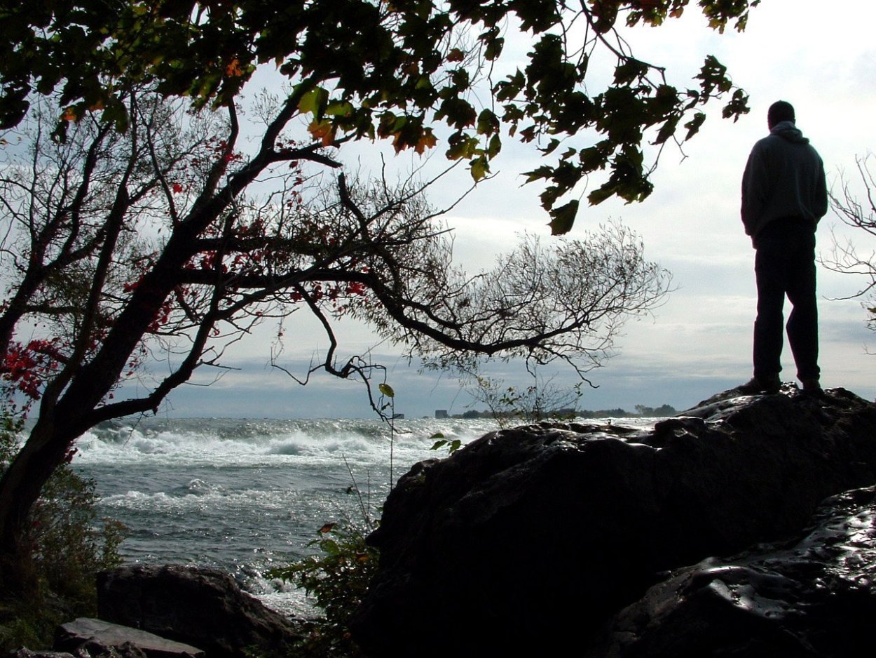 Мрачная осень