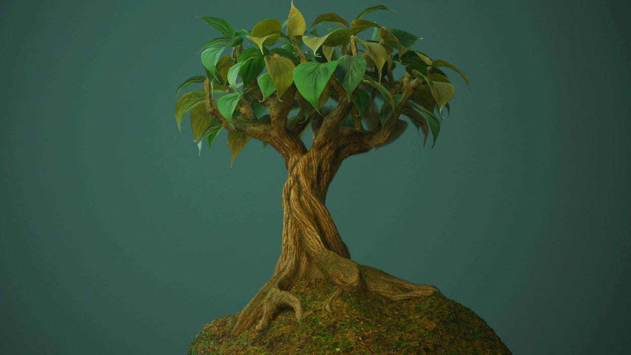 Фикус фэнтези