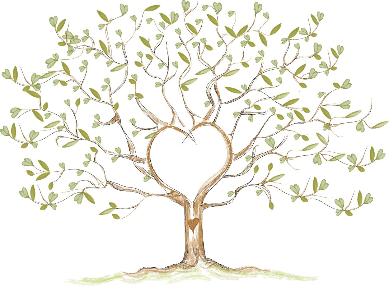 Дерево для родословного дерева