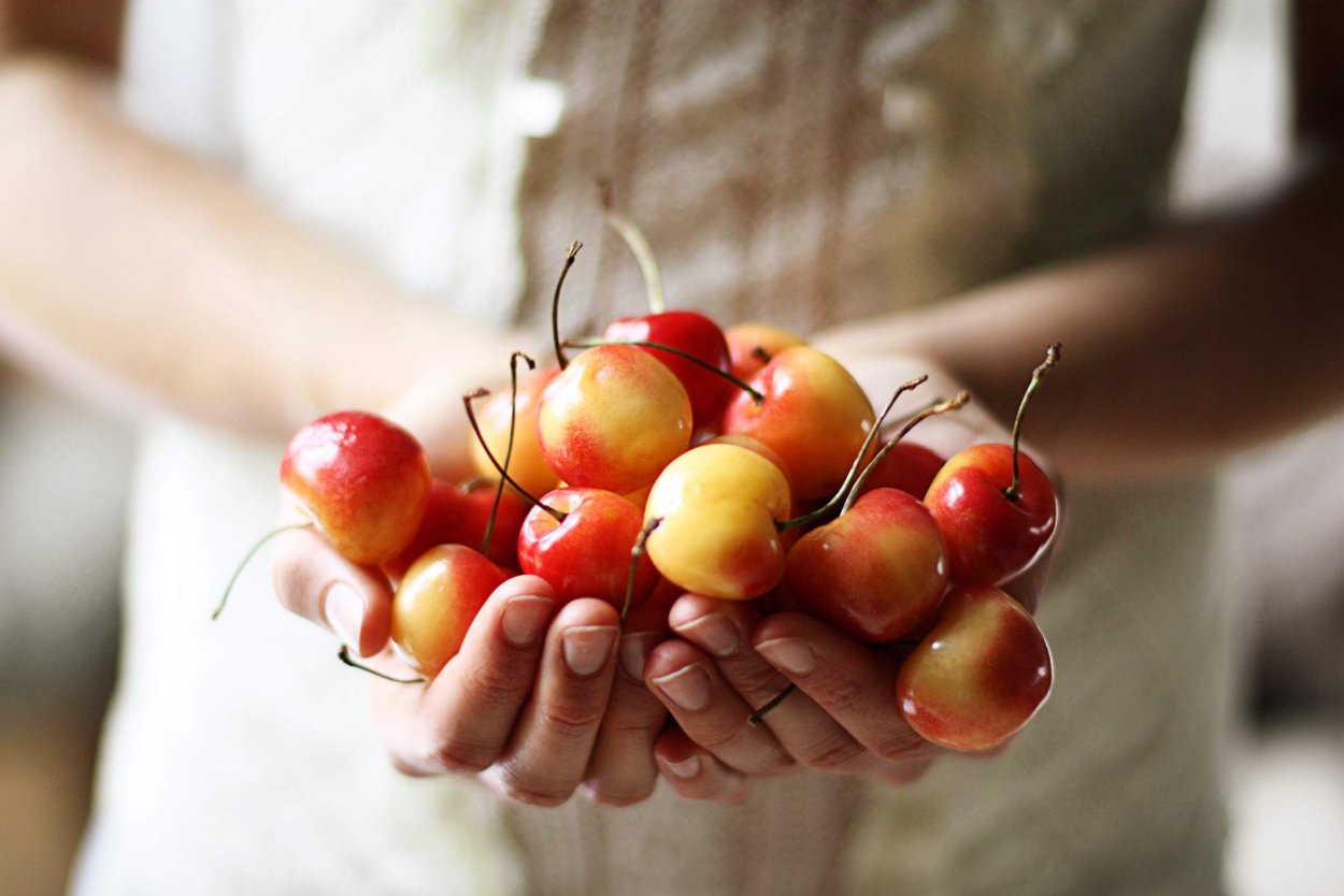 Вишня и черешня желтая