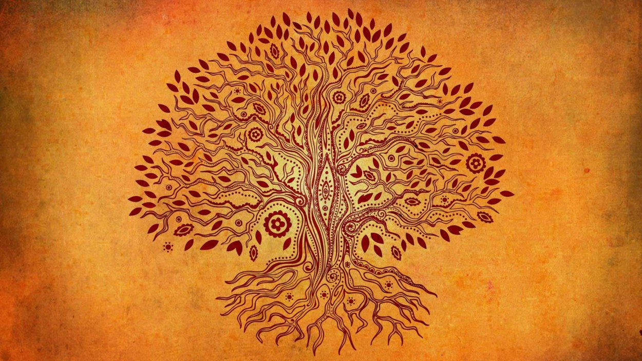 Дубовое дерево