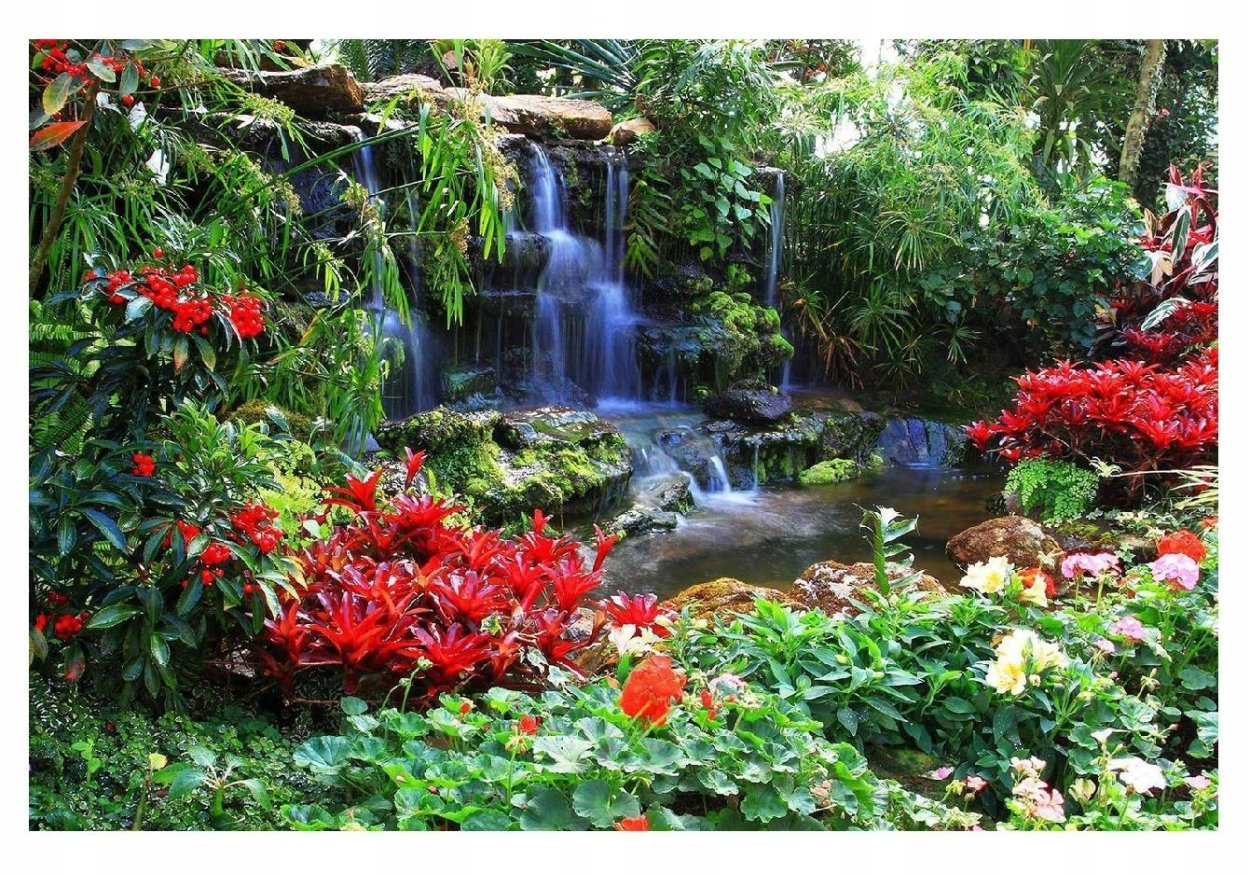 Джунглия Ботанический сад с водопадом