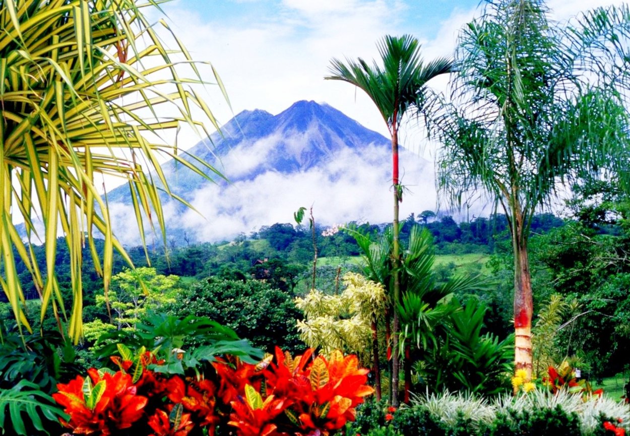 Тропические леса Коста Рики