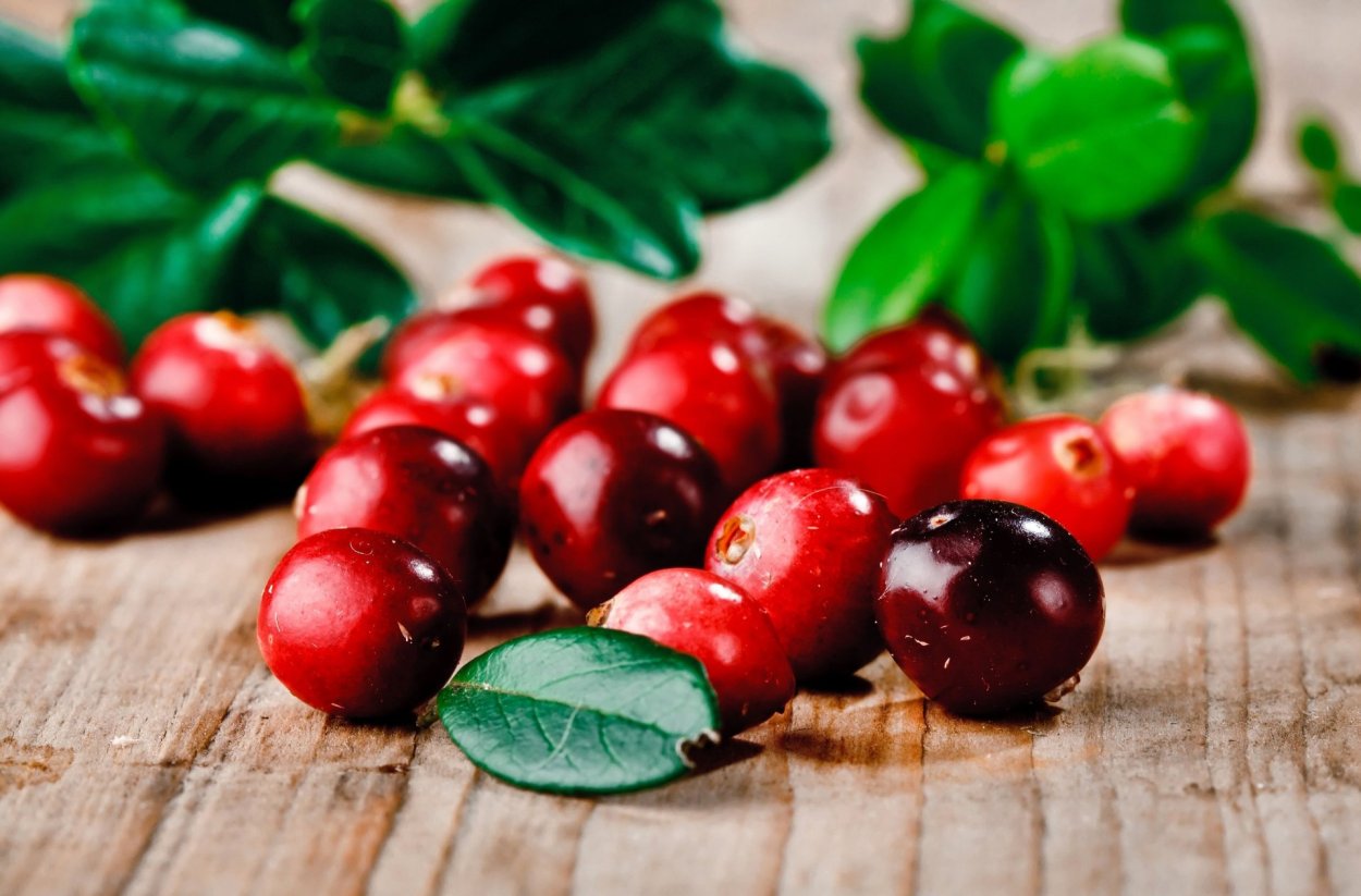 Клюква ягода