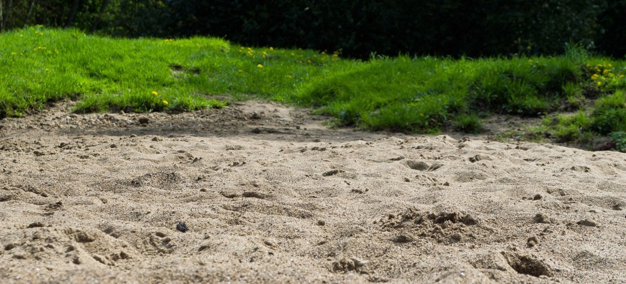 Песчаный берег с травой