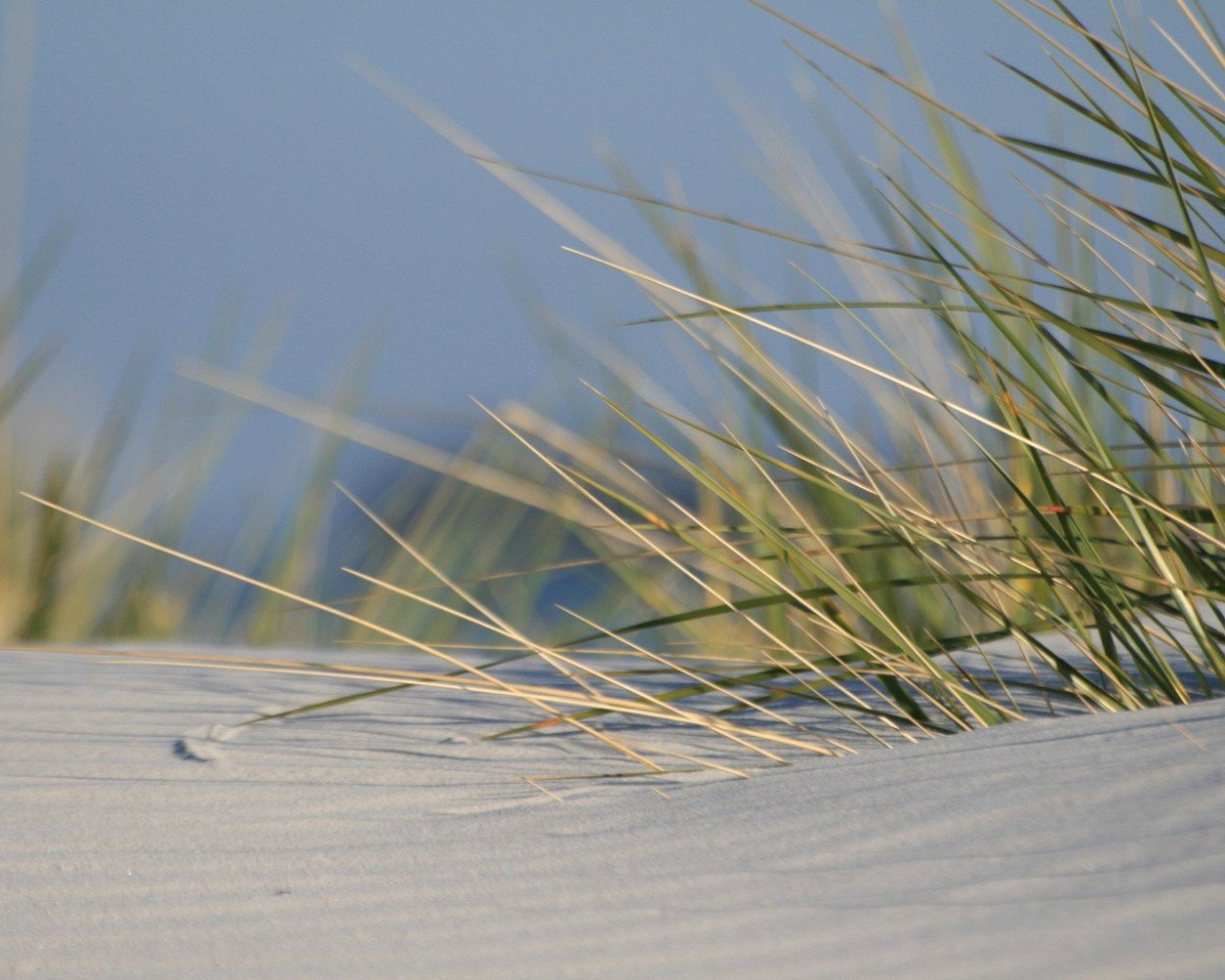 Песок для растений