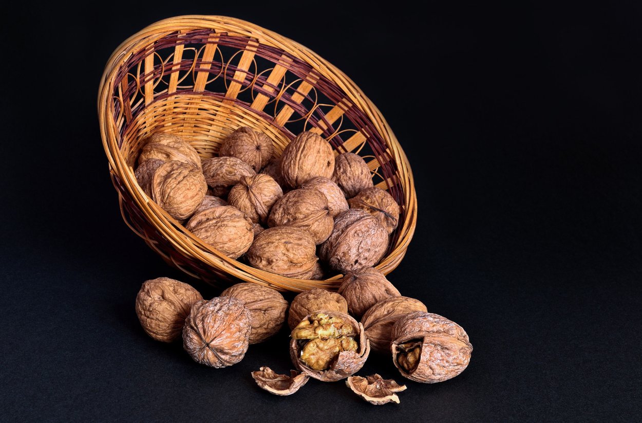 Орех грецкий