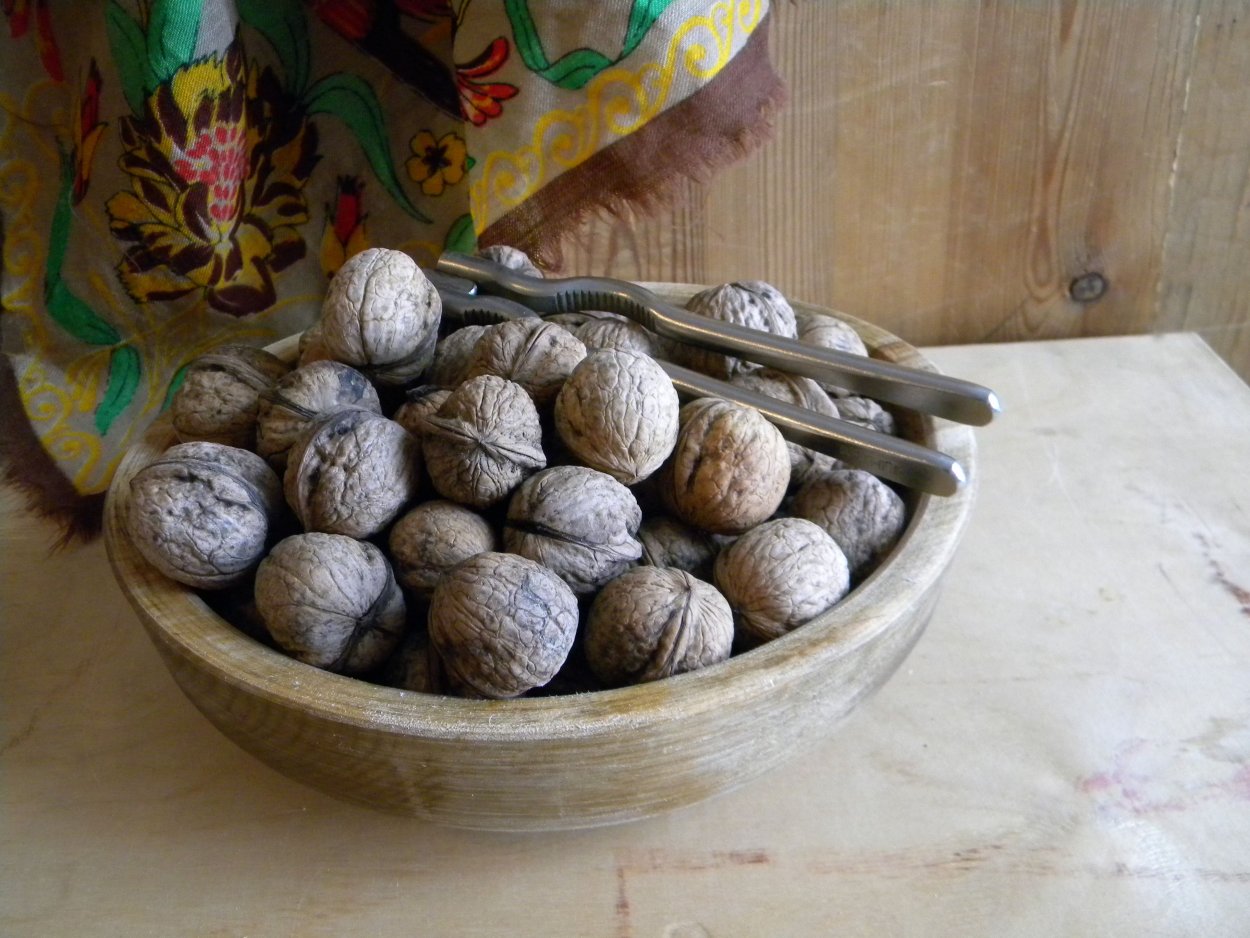 Дерево из грецких орехов