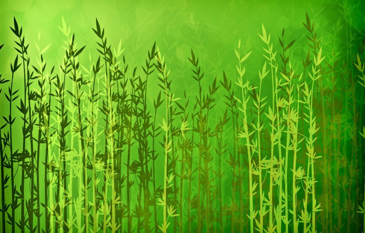 Пучки сушеных трав