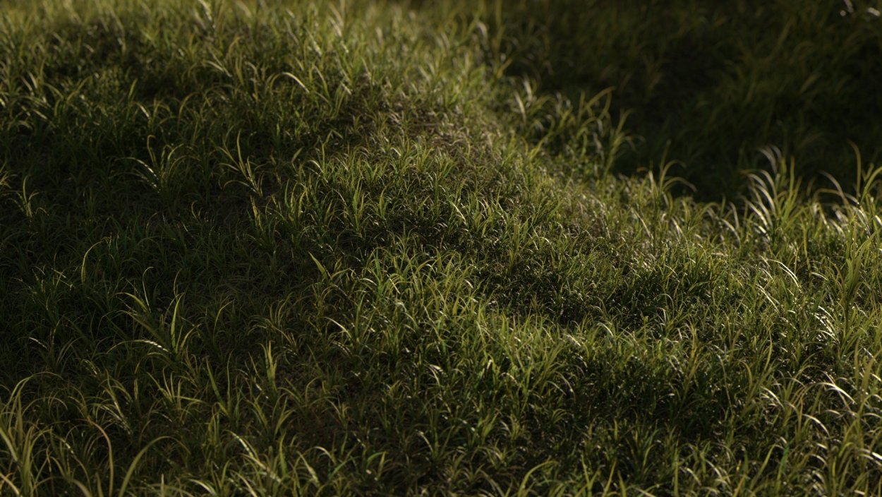 Буквица чистец лекарственный