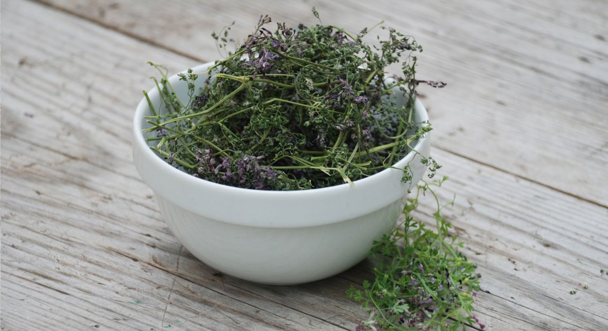 Гармала ВЕДЬМИНА трава