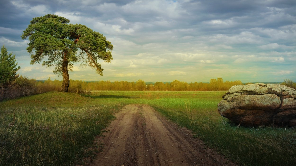 Пейзаж с дорогой