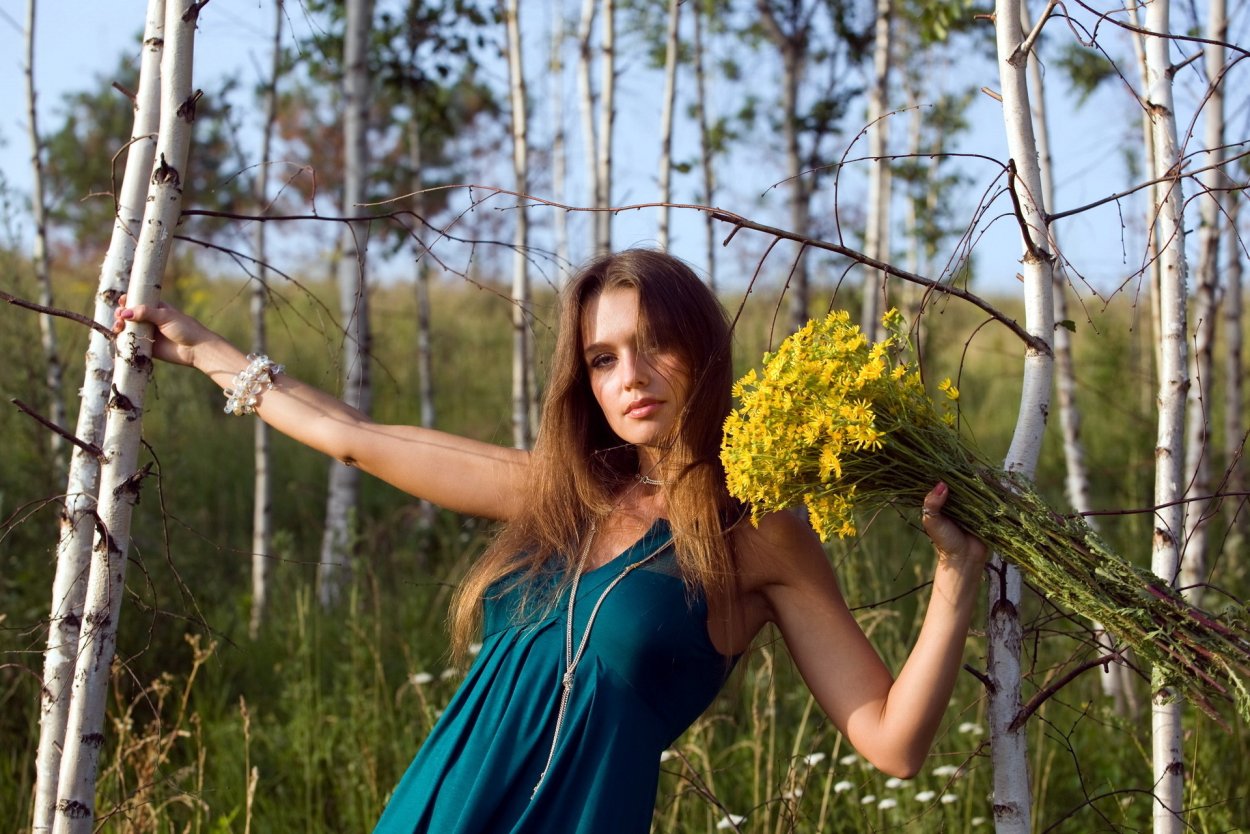 Березовая роща деревня