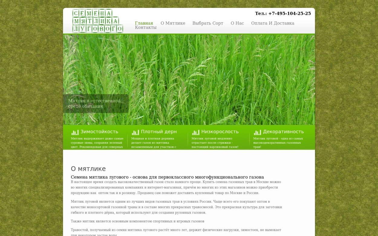 Травы для мочевыделительной системы у женщин